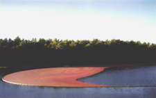Corraled Berries