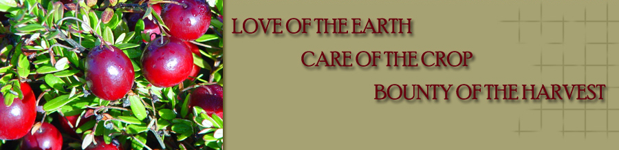 Willows Cranberries - Love of the Earth, Care of the Crop, Bounty of the Harvest