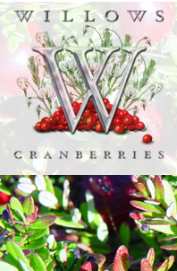 Willows Cranberries logo