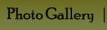 Photo Gallery