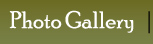 Photo Gallery